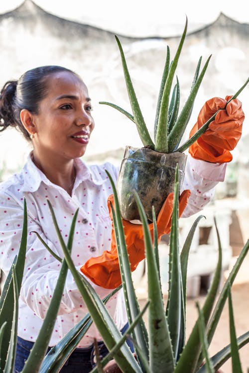 gardener jobs