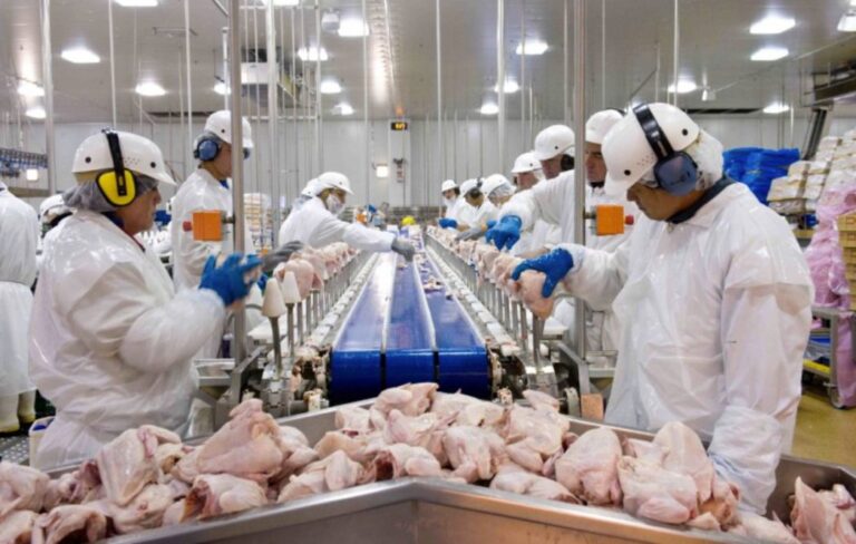 working for Tyson foods
